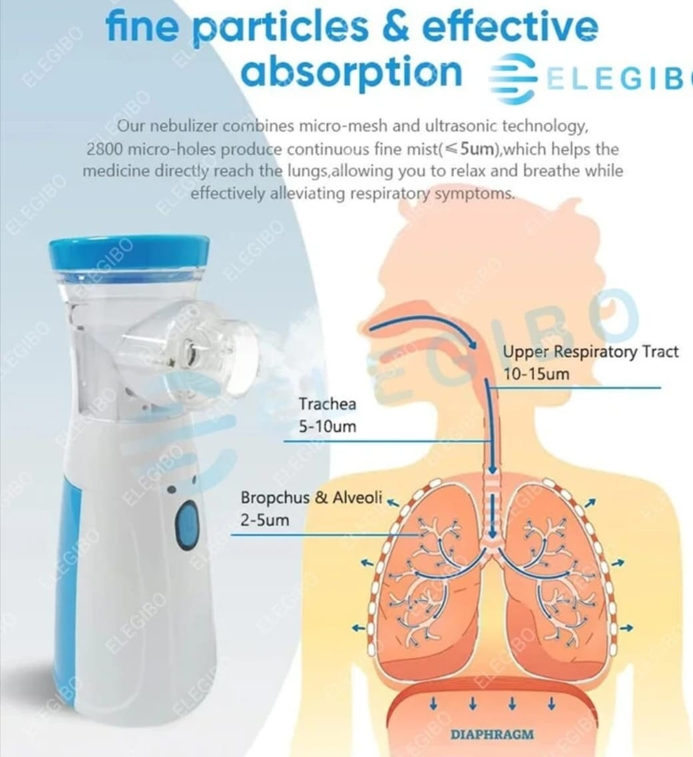Portable nebulizer
